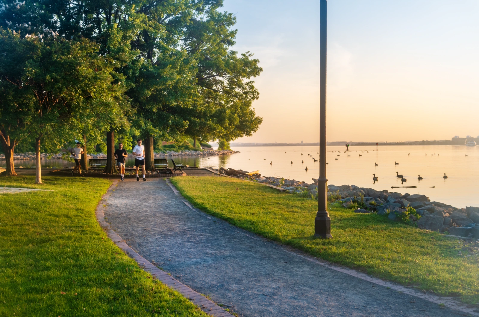 Morning joggers on tranquil riverside trail surrounded by greenery and calm waterfront views
