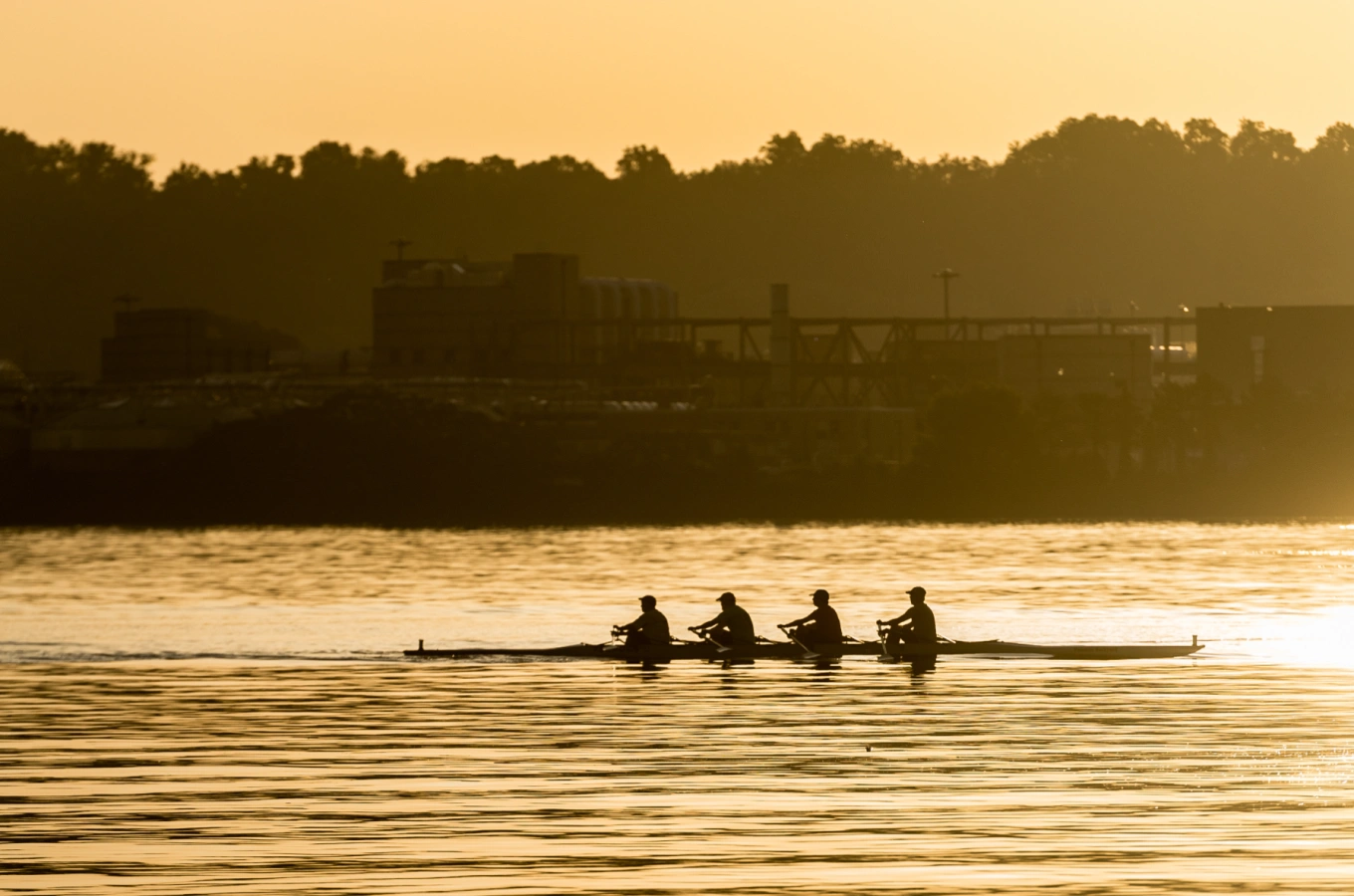 Early morning rowers on tranquil water with warm golden sunlight and distant city structures