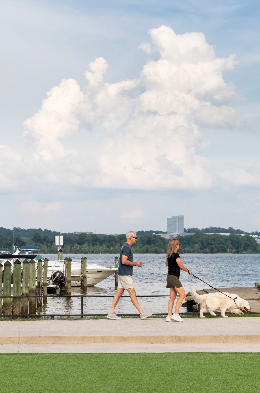 Couple walking golden retriever beside riverside marina with boats and distant office buildings